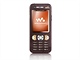 Sony Ericsson W890i