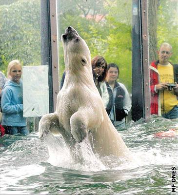 MEX: Zoo zlomila svj rekord