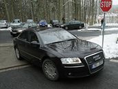 Audi Jiího Paroubka