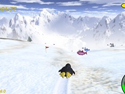 Pinguin Racer