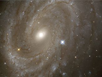 Spirlov galaxie NGC 4603, nejvzdlenj, kde HST studoval cefeidy