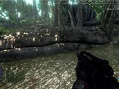 Crysis