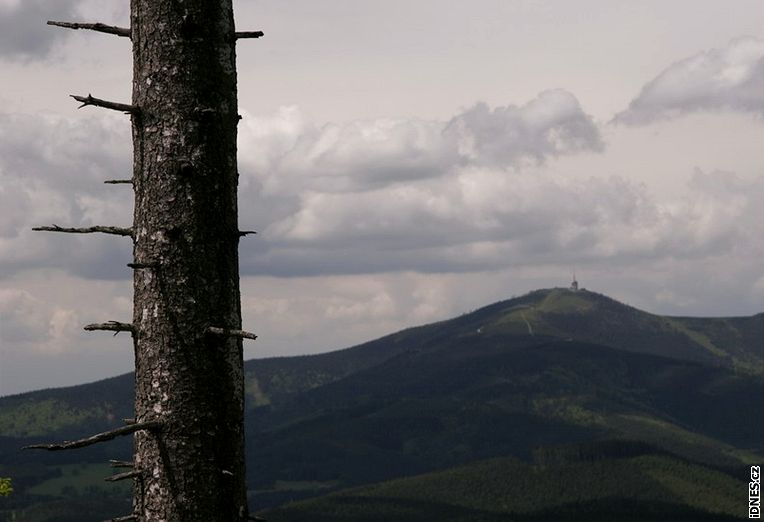 Beskydy. Pohled na Lysou horu od Polomky