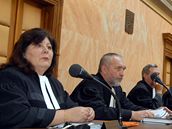 Ústavní soud v Brn.
