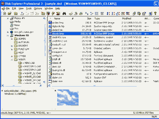 Disk Explorer Professional 3.60