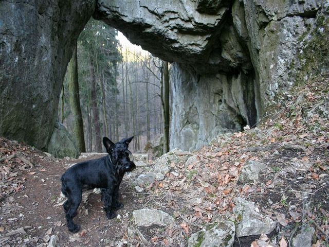 Najdete tu dva paralelní jeskynní tunely a adu meních jeskynk i slepých výklenk.