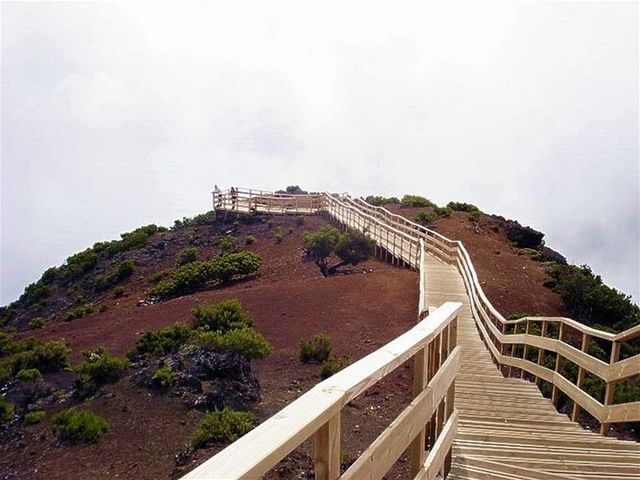 Madeira nabízí skvlou dovolenou pro milovníky pích túr a divoké pírody.