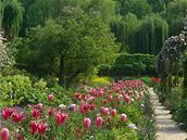 Zahrada celoron barevná, kvetoucí a pvabná vyaduje dobré znalosti o vzhledu rostlin v prbhu roku