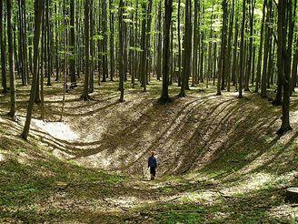 Mal Karpaty, Rotn