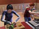 Sims 3