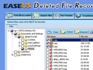 Easeus Deleted File 