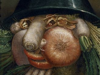 Vde, Arcimboldo: Zelin