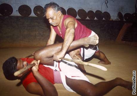 kalaripayattu