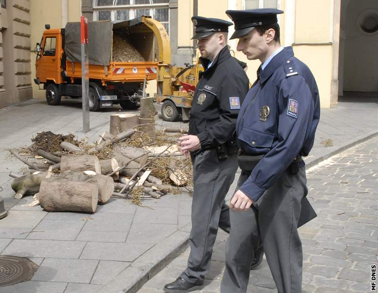 Na ilingrov námstí spadl strom na kolemjdoucí enu.