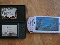 PSP v. DS