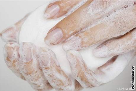 Jako prevence loutenky je výslovn doporuováno mytí rukou mýdlem a teplou vodou.