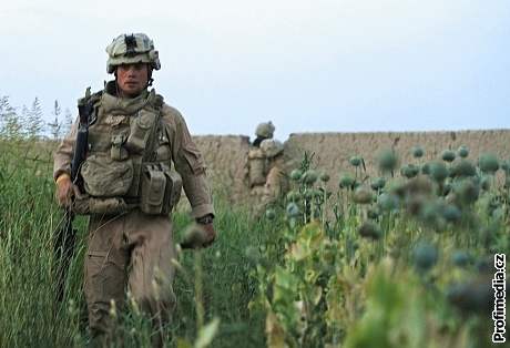 Americký voják prochází afghánským opiovým polem.