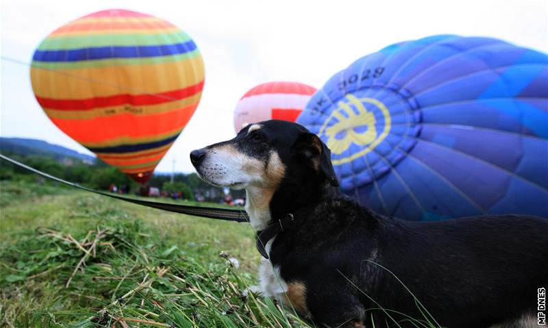 Ballon Jam v Brn. veer startovaly první balony