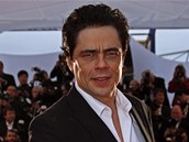 Cannes 2008 - herec Benicio Del Toro