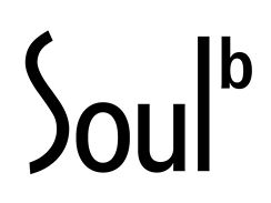 Samsung Soul B