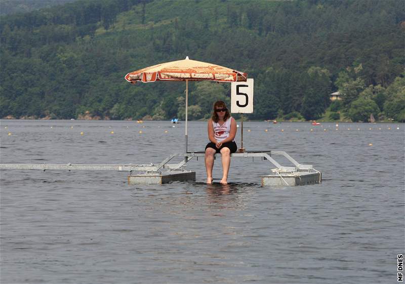 Sinice - letitý nepítel plavc na Brnnské pehrad