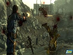 Fallout 3 (PC)