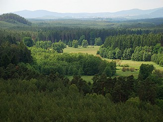 Hradansk rybnky