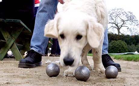 Pétanque