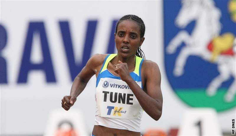 Etiopská vytrvalkyn Dire Tuneová si práv bí pro svtový rekord v hodinovce.