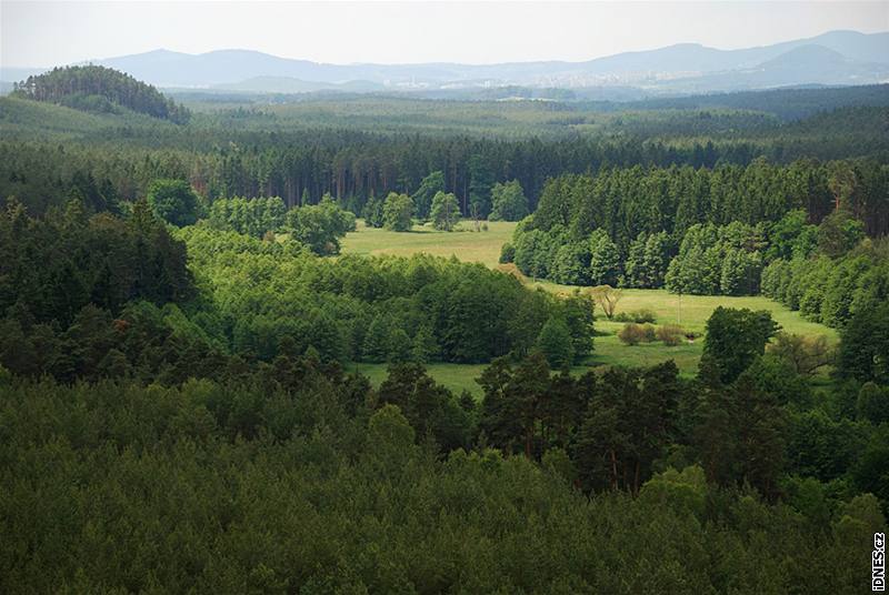 Rybník Drník je nejkrásnjím ze soustavy Hradanských rybník.