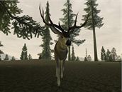 Deer Hunter