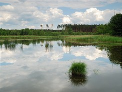 Hradansk rybnky