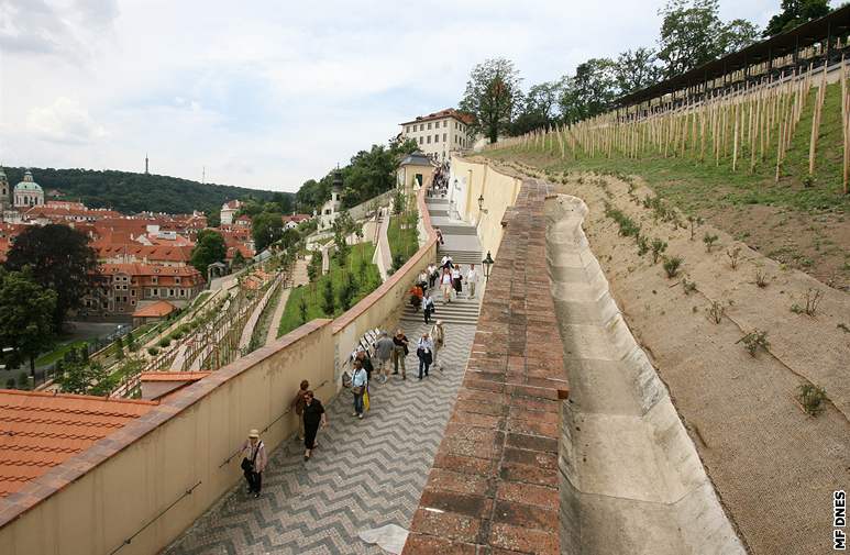 Svatováclavská vinice má rozlohu tém 7 000 metr tvereních