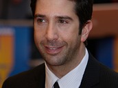 Herec a režisér David Schwimmer Herec a režisér David Schwimmer