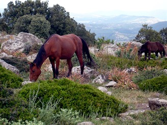 Itlie, Sardinie