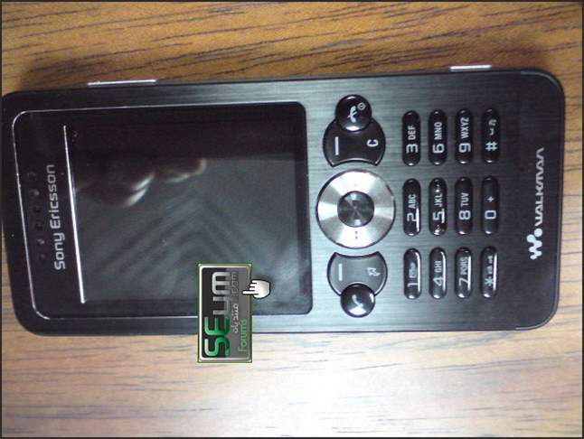 Sony Ericsson W302