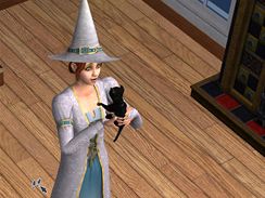The Sims 2: ivot v byt (PC)