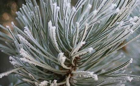 Závr týdne pinese denní teploty tsn nad nulou. Ilustraní foto