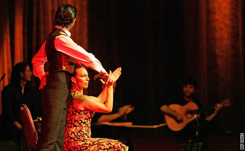 Festival Iberica 2008 - Flamenco Maria Serana