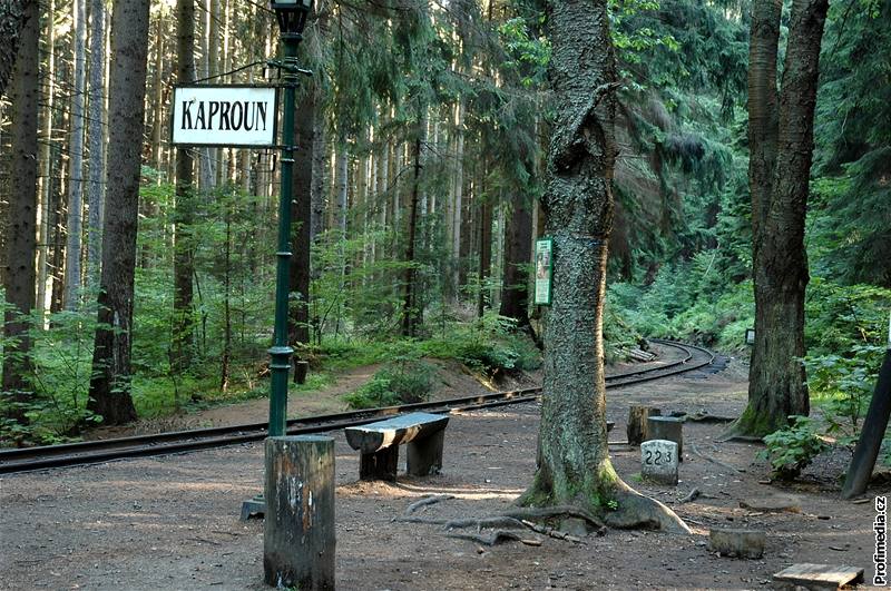 Pohled z hradu Landtejn na zalesnnou krajinu eské Kanady