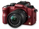 Panasonic Lumix G1