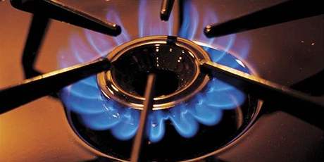Ukrajina nakupovala od Gazpromu tetinu plynu, který se v zemi spotebuje.