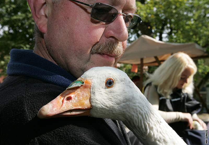 Husí slavnosti a jarmark v Boskovicích