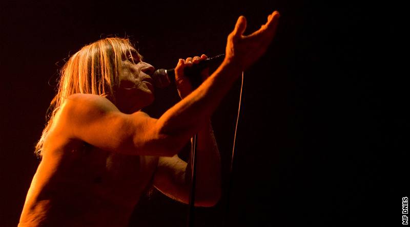 Iggy Pop & The Stooges