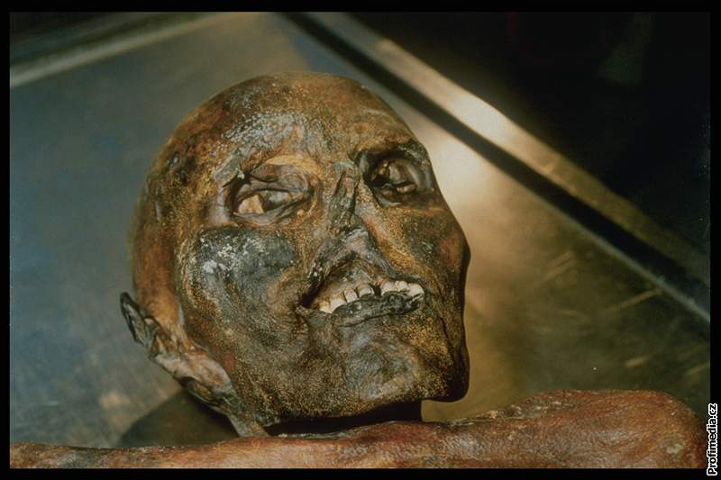 Nález snného mue Ötziho zamotal v roce 1991 vdcm hlavu.