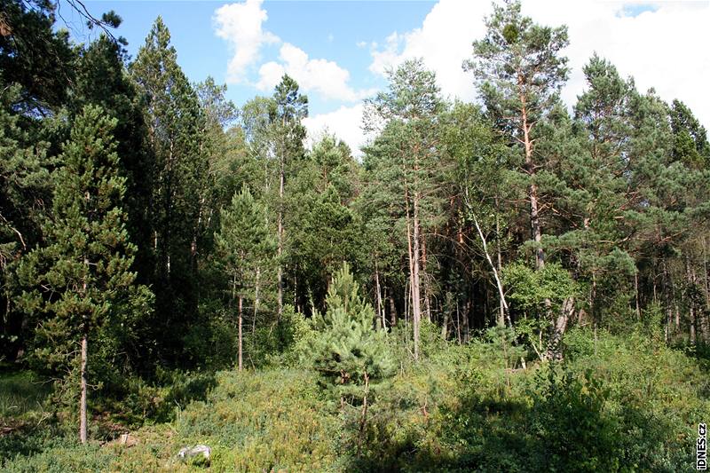 Víska Vlastibo patí do Sobslavských blat. Ta jsou jednou z nejcennjích oblastí lidové architektury u nás.