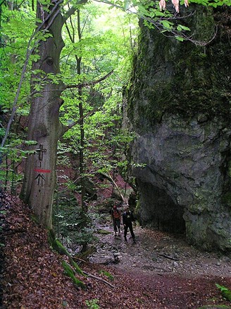 Slovensko, Branisko