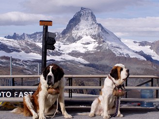 vcarsko, Zermatt, bernardini - zchrani