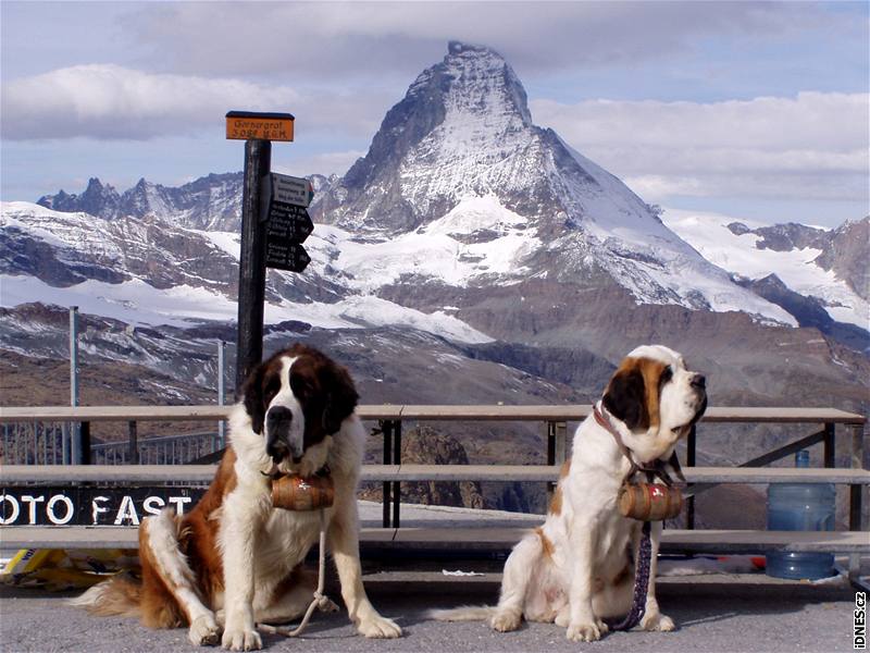 Ve výcarském msteku Zermatt, které leí na úpatí Matterhornu, je zákaz vjezdu aut