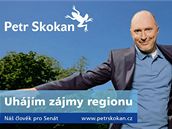 Kandidát na senátora, liberecký hejtman Petr Skokan (ODS) Kandidát na senátora, liberecký hejtman Petr Skokan (ODS)